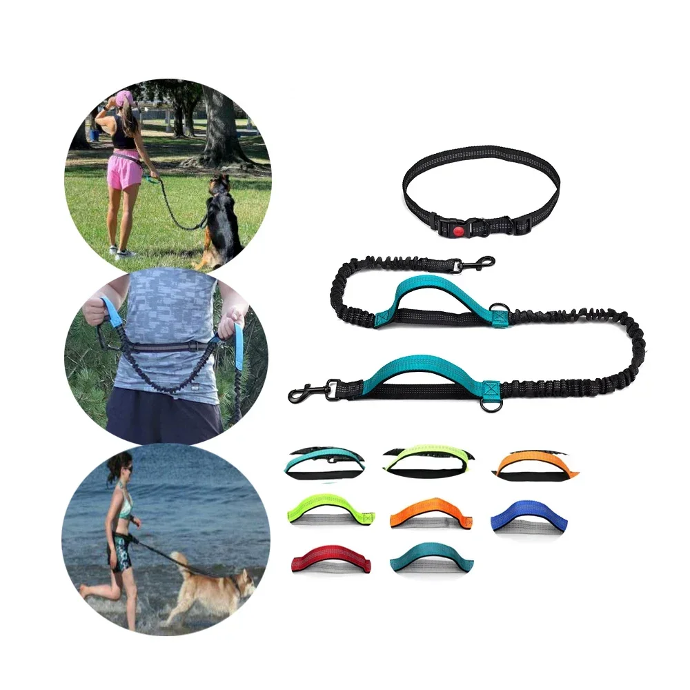 

Hands Free Running Dogs Leashs Collar Reflective Bungee Dog Harness LeashesTwo Handle Control Pets Leash For Dogs Walking Liking