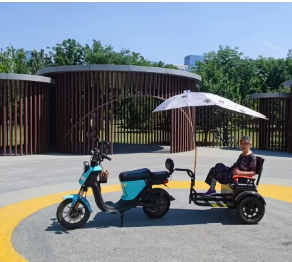 Small Pet Rear Mount Trailer Foldable Breathable Carrier For Bicycle Electric Motorcycle Outdoor Travel