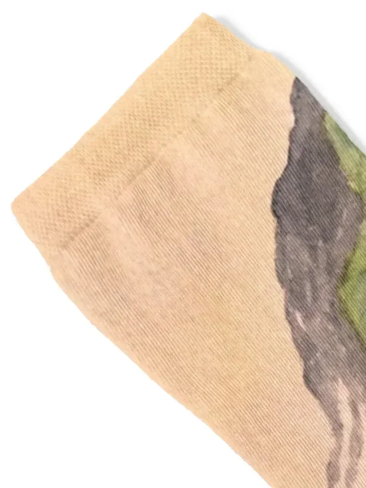 Bears On The Move - Hey Wait For Me! Socks christmas gifts Run aesthetic Running Men's Socks Women's