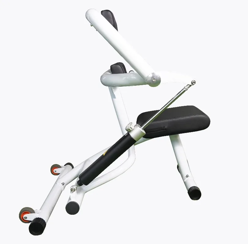 Leacon Club Gym Fitness Equipment Hydraulic Gym Back Extension Machine Female Sitting Abdominal Home Training Chair