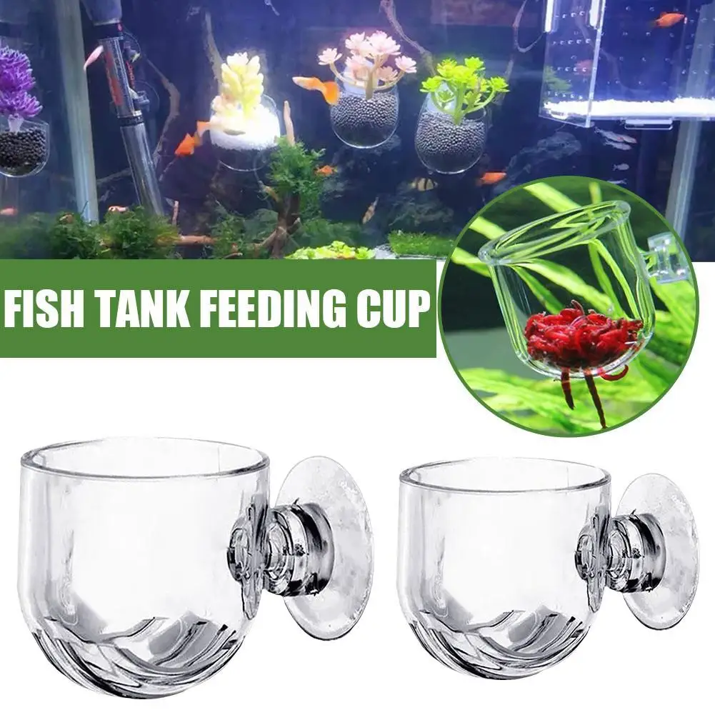 Plant Cup Red Worm Feeder Waterweed Cup Acrylic Decoration For Suction Holder Fish Tank Beautiful Natural Landscape Accesso Y4X7