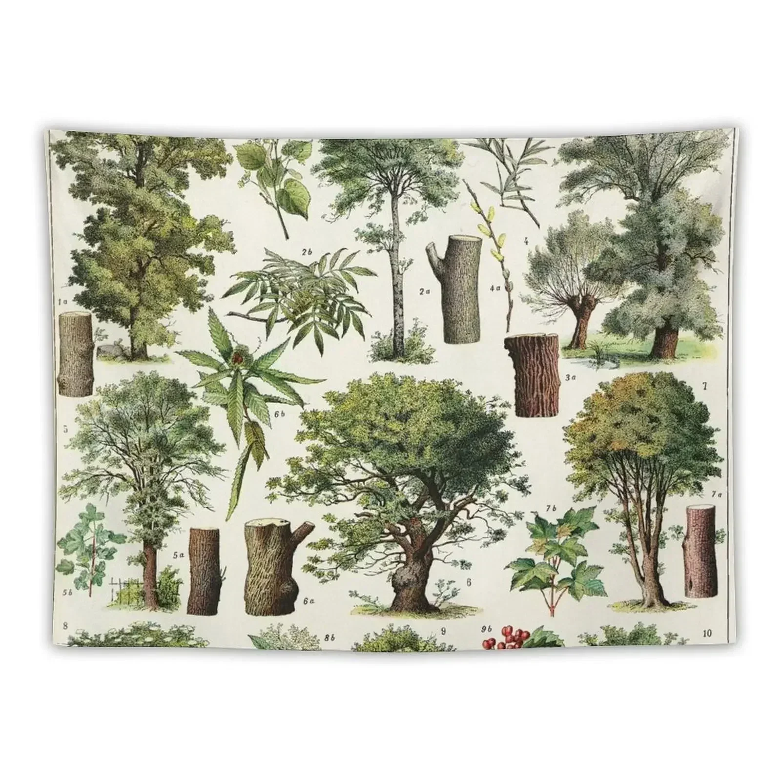 

Adolphe Millot - Arbres A - French vintage botanical poster Tapestry Wall Decorations House Decoration Tapestry