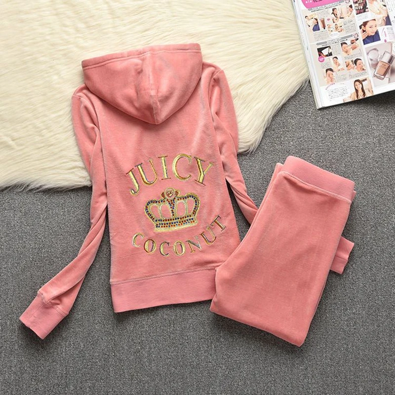 

Women's Elegant Velvet Tracksuit 2024 Winter Hoodies And Pants Sportswear Velour Suit Women Suit Two Piece Set