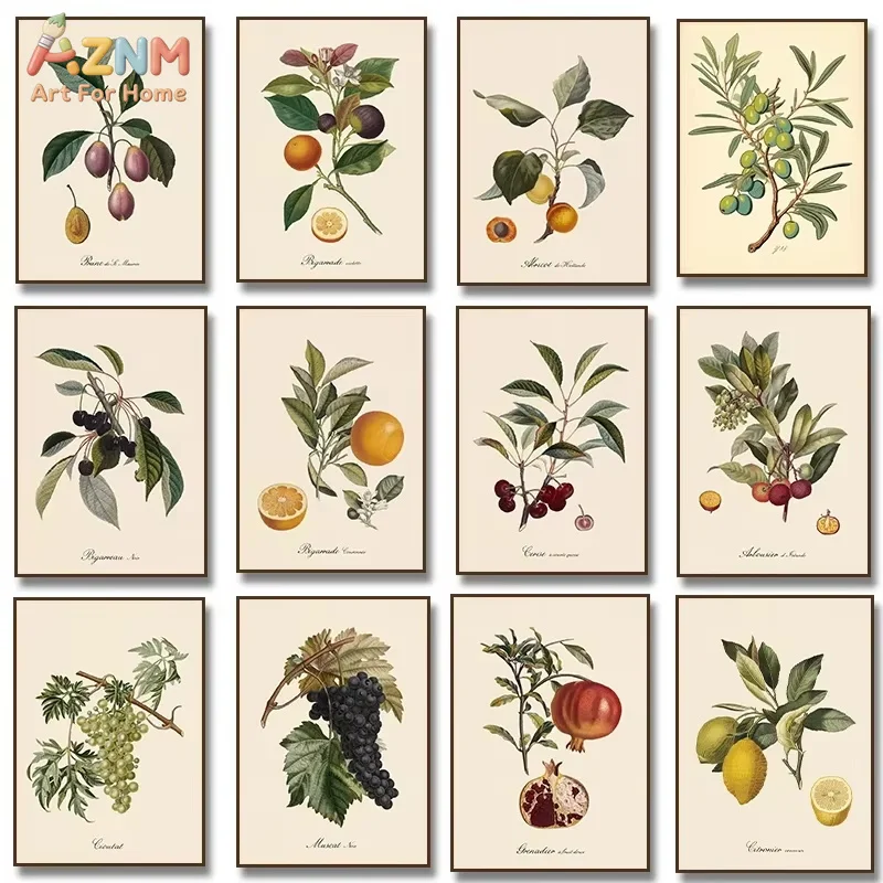 1 Stück Vintage Botanische Früchte Zitrone Pflaume Orange Vintage Poster und Drucke Wandkunst Leinwandgemälde Wandbilder Küchendekoration