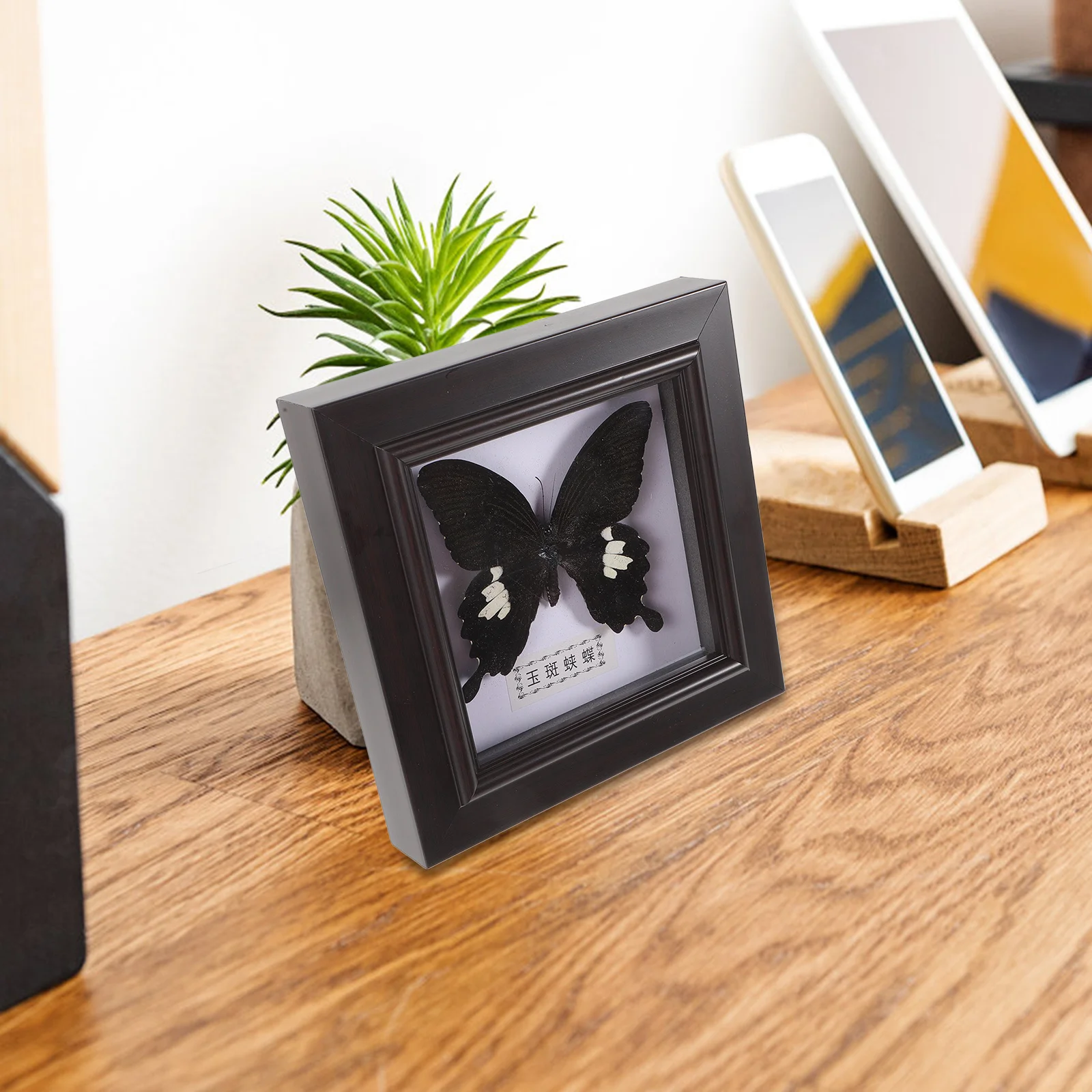 

Simulated Butterfly Specimen Study Room Decor Wall Decorations Simulation Decorate Framed Plastic Display