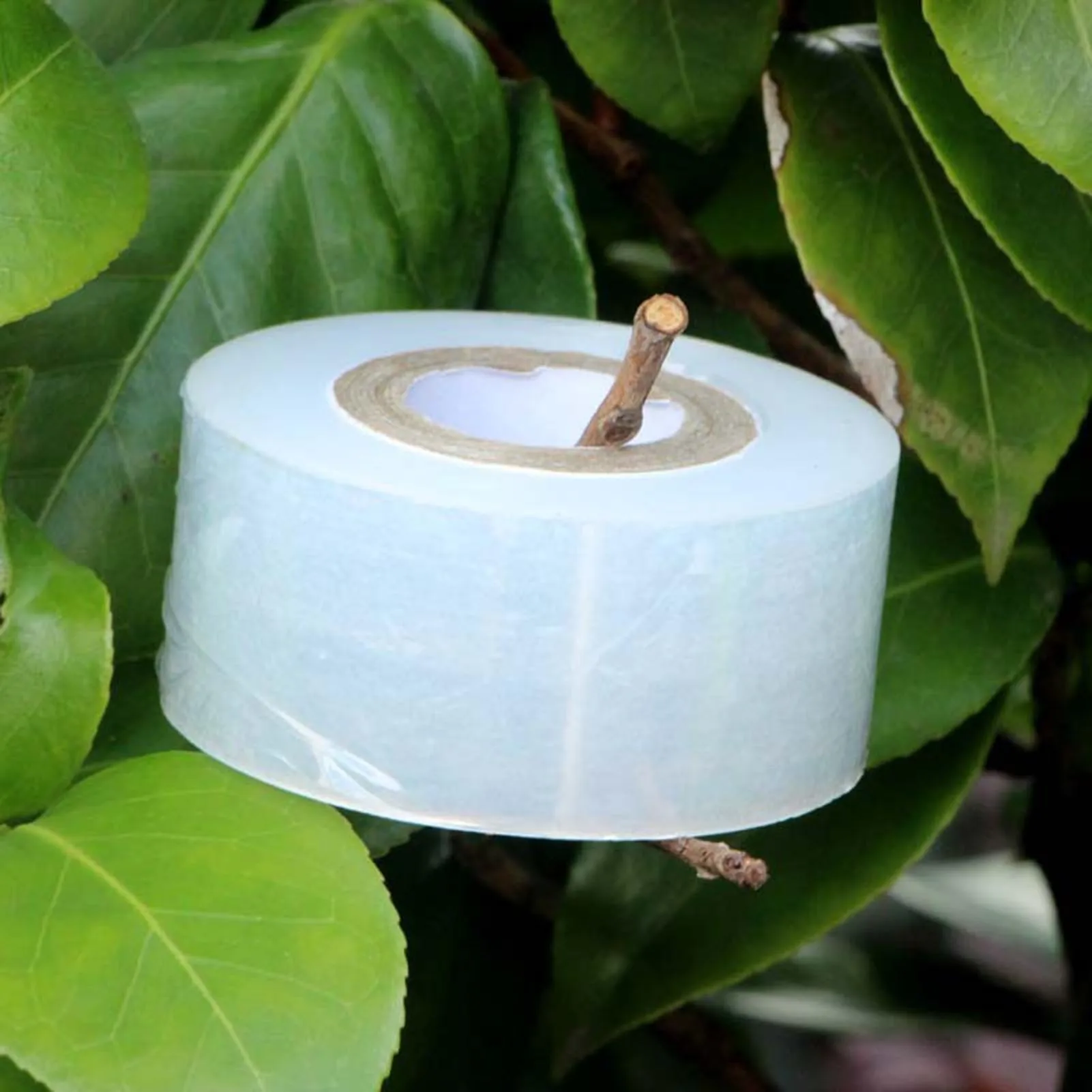 120m PE Grafting Tape Film Self-adhesive for Fruit Tree Nursery Plants Seedlings Vine Floristry Tomato Grafting Supplies Stretch