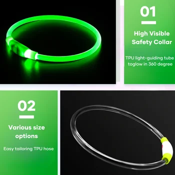 USB LED Dog Collar 2