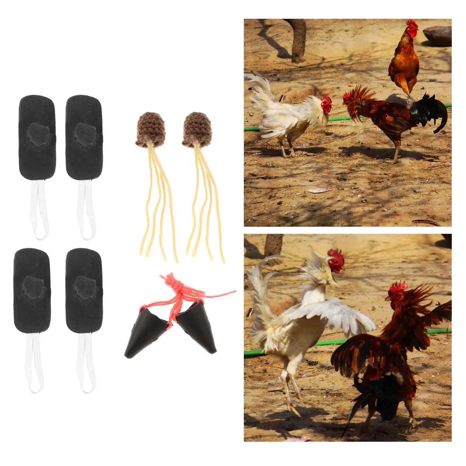 Cockfighting Supplies Chicken Fighting Accessories Farm Equipment