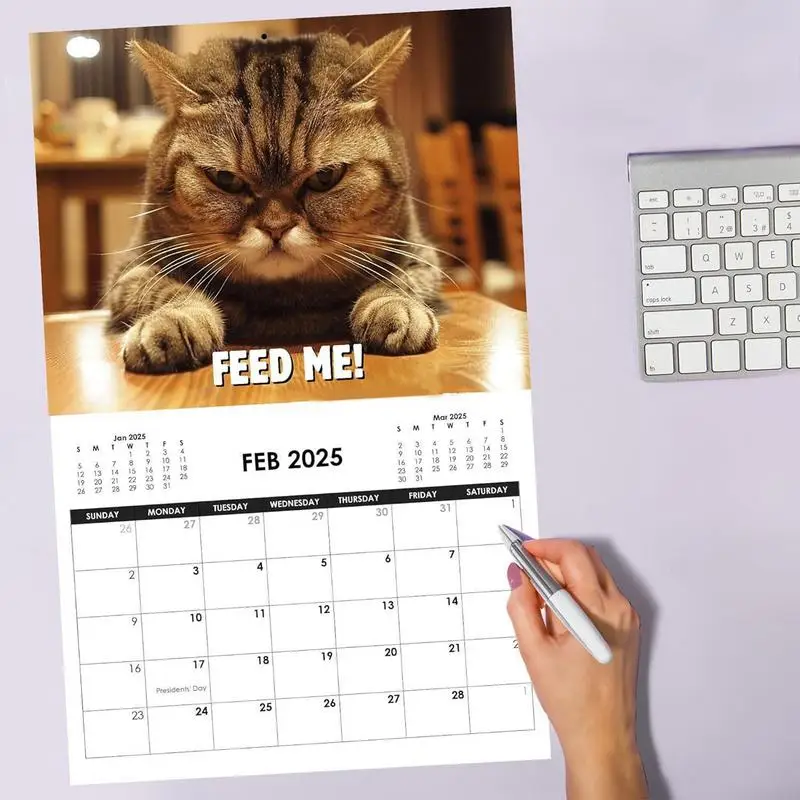 2025 Angry Cat Wall Calendar Creative Monthly Wall Hanging Art Calendar For Home Workplace Personal Planning