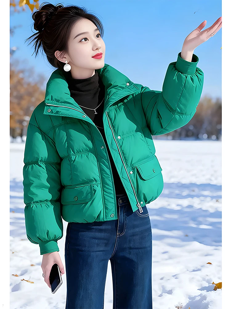 

Зимняя утепленная хлопковая куртка-пуховик для женщин, корейская версия, свободный крой, длинный рукав, на молнии, однотонная
