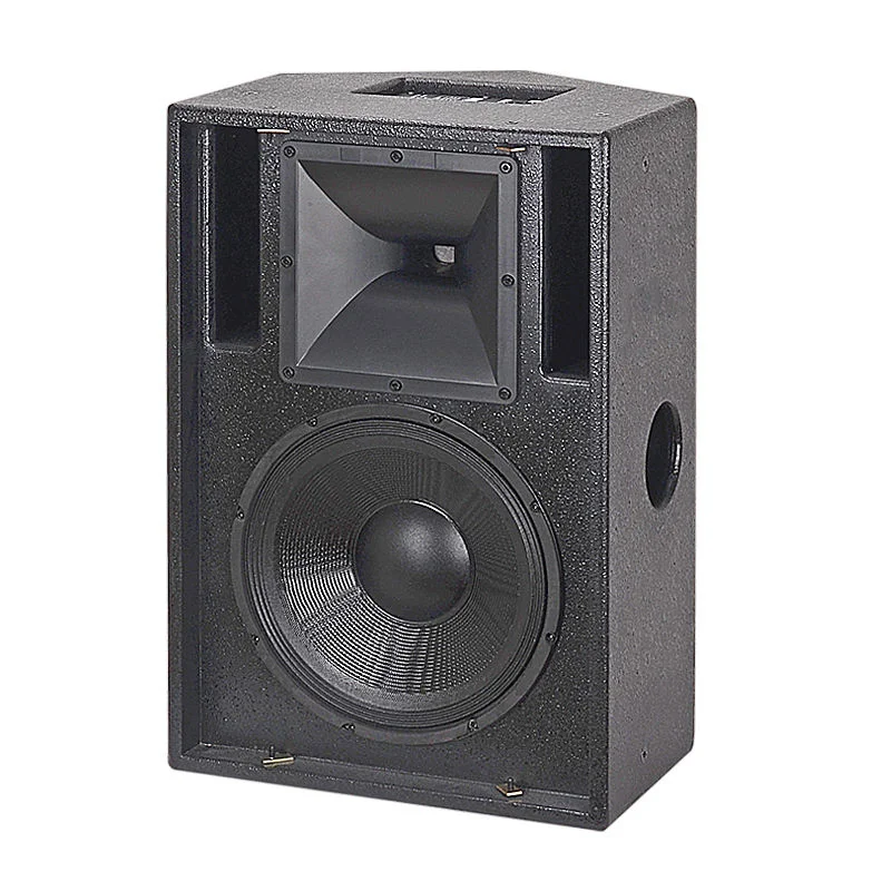 Powerful 12‑Inch Passive PA Sp – обзор и цена Home Theater Speaker