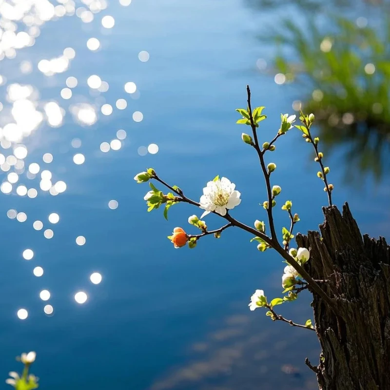 

KST DS213 V8.0 3KG 16g Micro Digital Servo Motor for High Performance RC Gliders