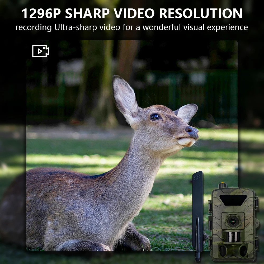 Thumbnail 4 - #28 Ranked Motion Activated Wildlife Cameras Picks in 2026