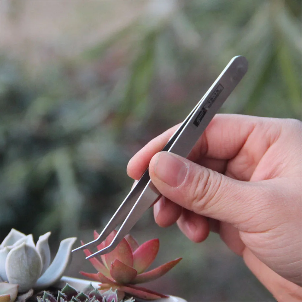 Pince à épiler en acier inoxydable pour attraper des insectes, outil de jardinage, semis, greffe