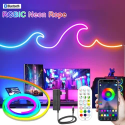 Bande lumineuse RGB LED intelligente Bluetooth RGBIC, lumière néon étanche, décor de salle de jeu, lumière complète des documents, musique, séparations, RVB IC, 5m, 10m, 12V