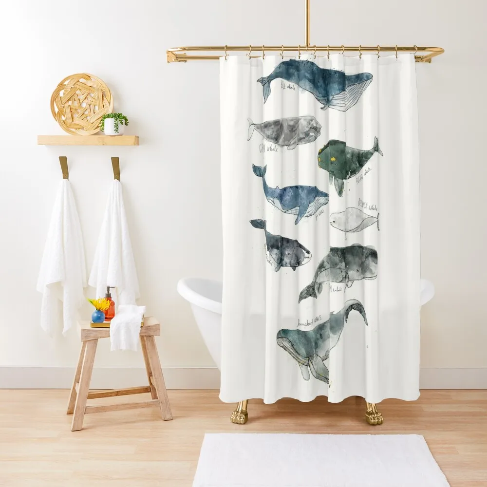 

Whales Shower Curtain For Bathrooms With Beautiful Designs For The Bathroom Shower Waterproof Waterproof Fabric Bathroom Curtain
