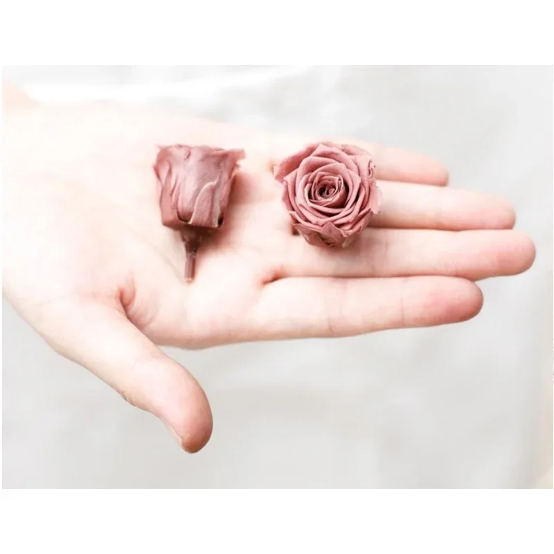 2-3cm 21/Pcs Mini Preserved Real Dried Roses Flowers Wholesale Eternal Life Immortal Flowers Material DIY Gift Wife Home Decor