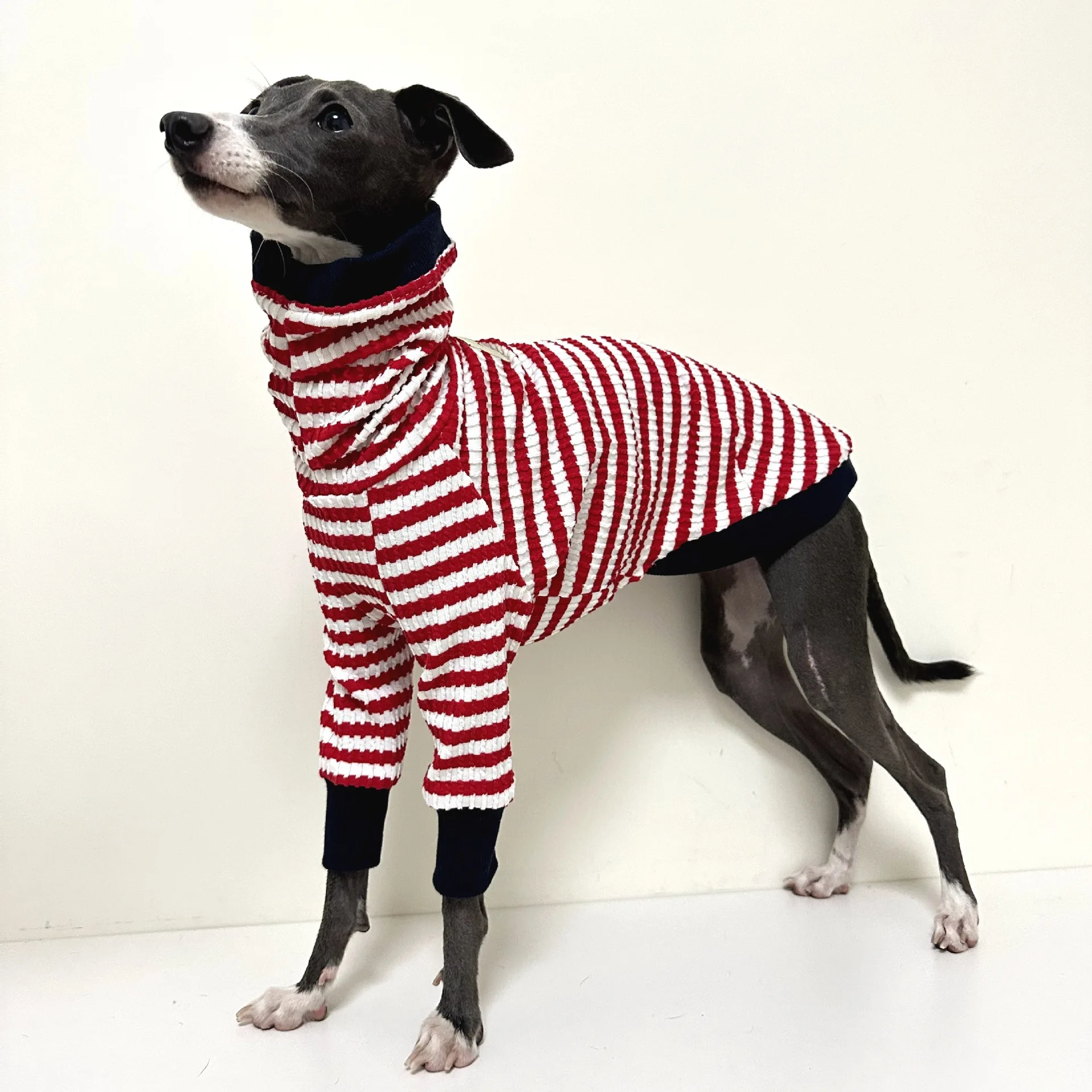 

Greyhound winter warm coat, soft pullover, two legged clothes made of pure cotton, Whibbit Bellington Terrier sweater