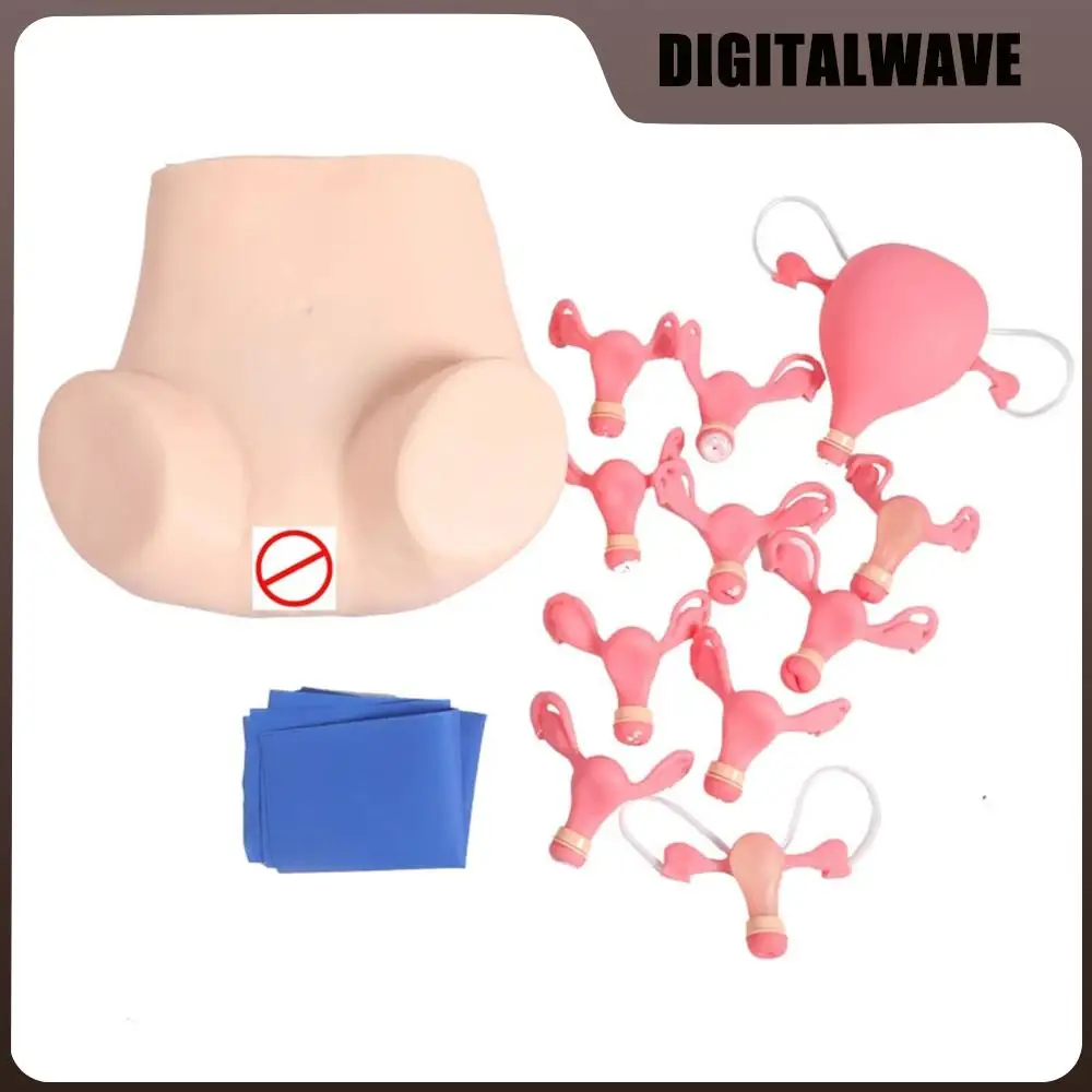 

Gynecological Examination Model Gynecology Medical Practice Traning Model