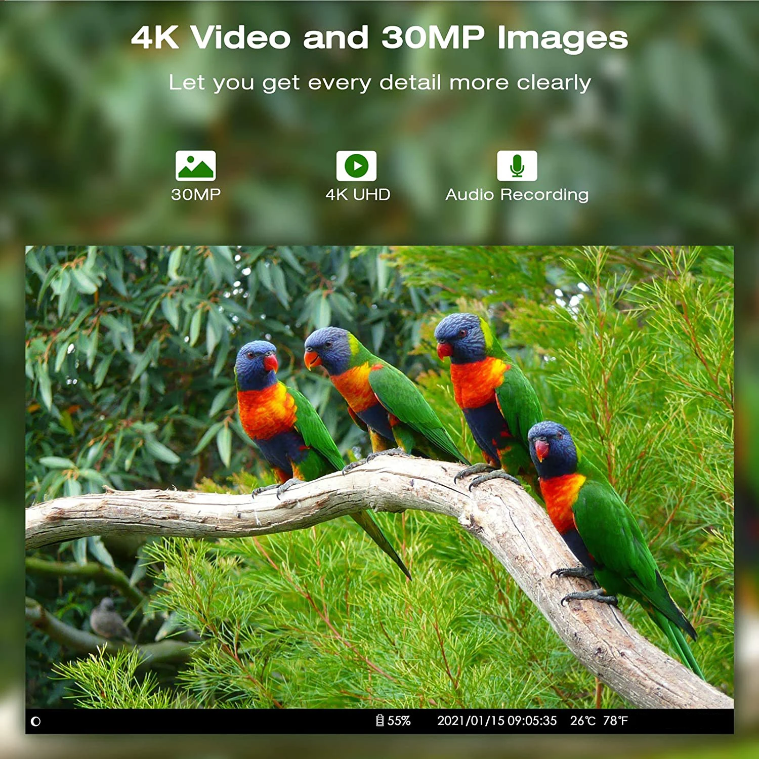 Imagem -03 - Aplicativo de Vídeo ao Vivo Câmera Trilha Serviço Nuvem Wildlife Caça Câmeras Fluxo Mídia 4g sem Fio 30mp Visão Noturna Hc810pro 4k