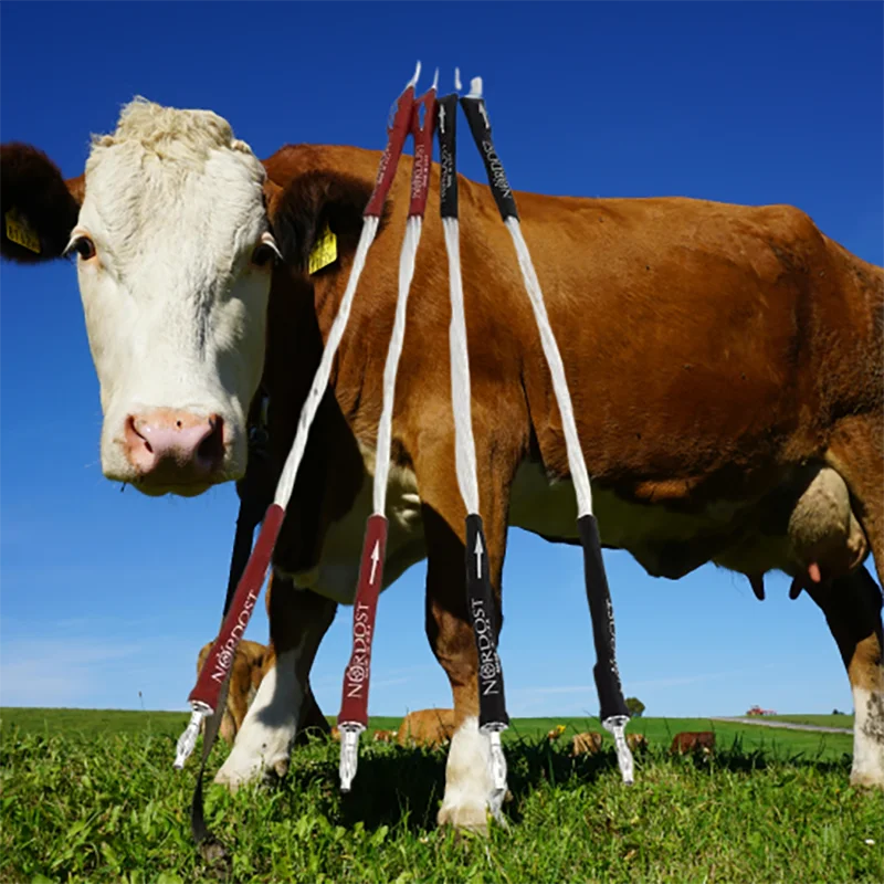 

Reference Silver-Plated Cable - Low-Capacitance Bi-Wire Link, Studio-Grade​