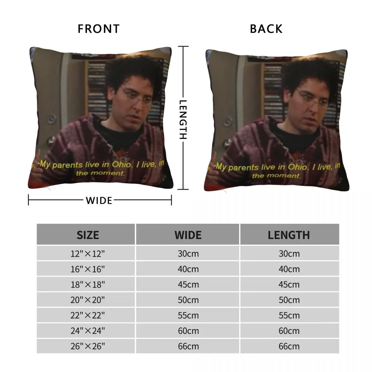 How I Met Your Mother Ted Mosby Pillowcase Polyester Linen Velvet Pattern Zip Decor Pillow Case Sofa Cushion Cover