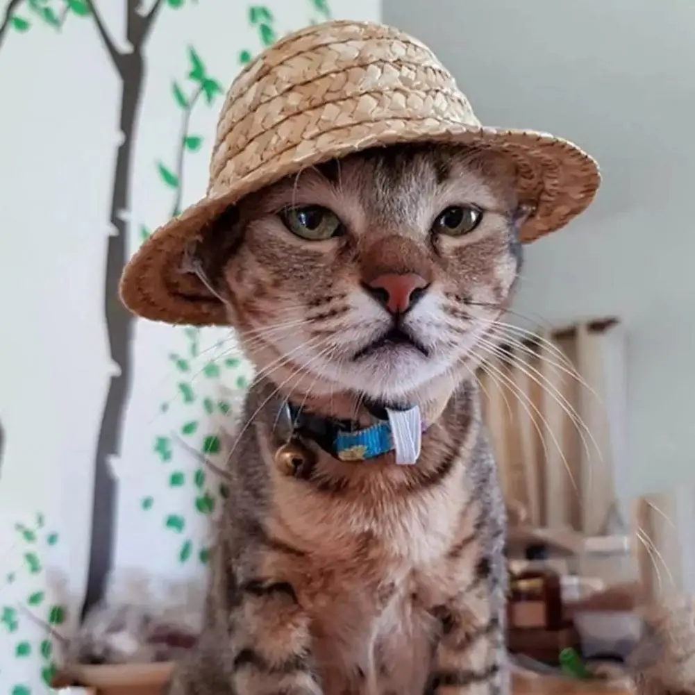 Cat Sun Hat Pet Sun Hats Set Adjustable Cat Chihuahua Straw Hats for Dogs Cats Retro Farmer Style Decorative for Pets