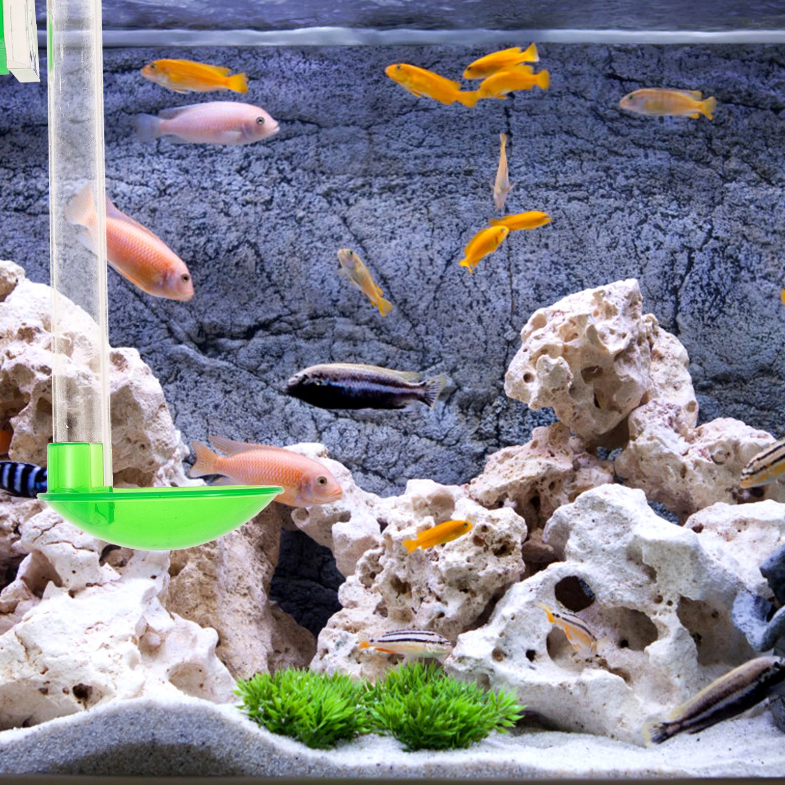 

Shrimp Feeding Tube Fish Feeder Aquarium Automatic Adjustable Length Transparent Crystal Shrimp Crab Clam Tropical Fish Feeding