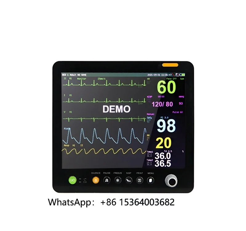 

ISO Approved Patient Monitoring 15 Inch ICU ETCO2 IBP Veterinary Version Optional Surgical Monitor Patient Monitor