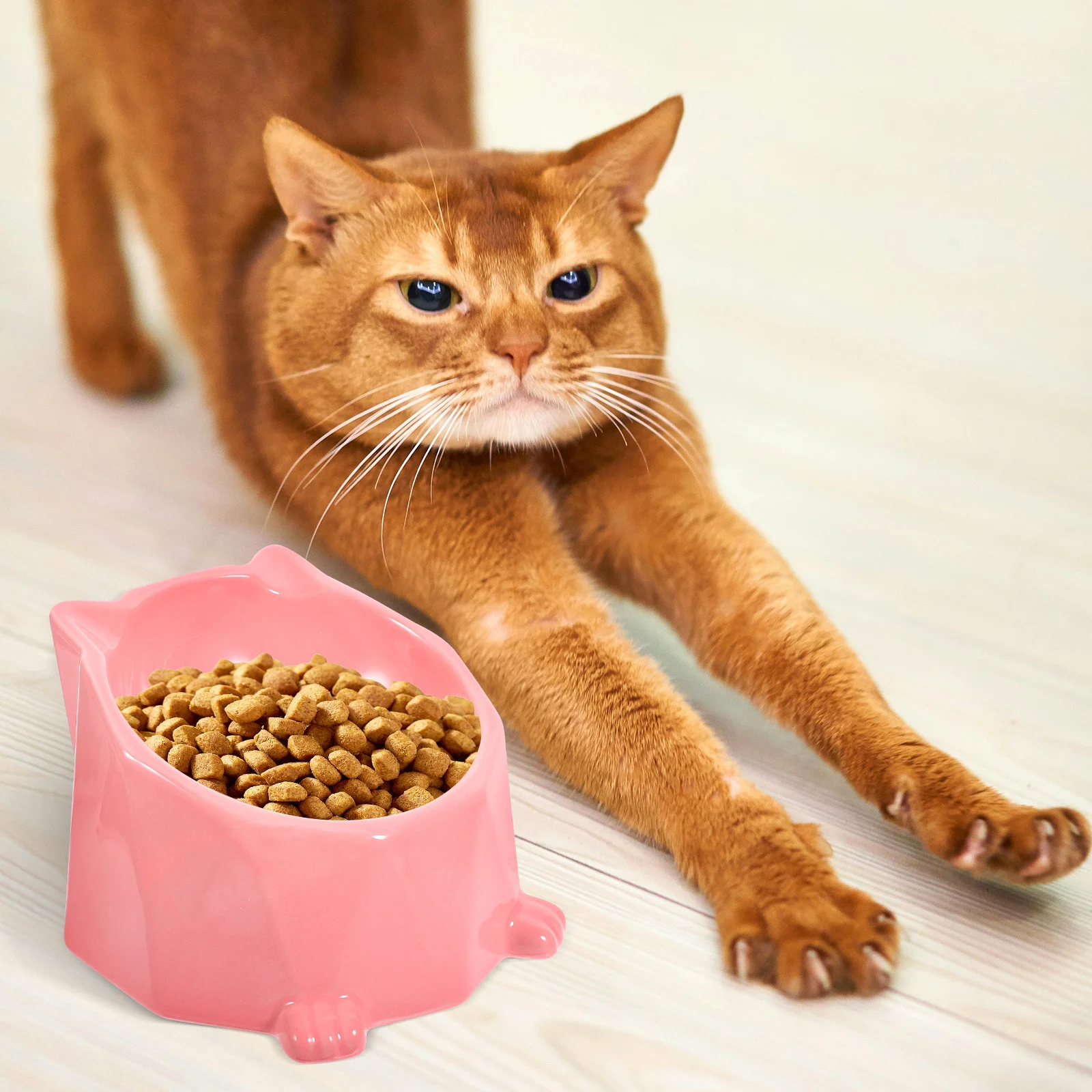 

Hexagon Shape Ceramic Pet Feeding Bowl 15 Degree Angled Design for Cats Dogs Small Pets Easy Clean Dishware Lightweight Travel