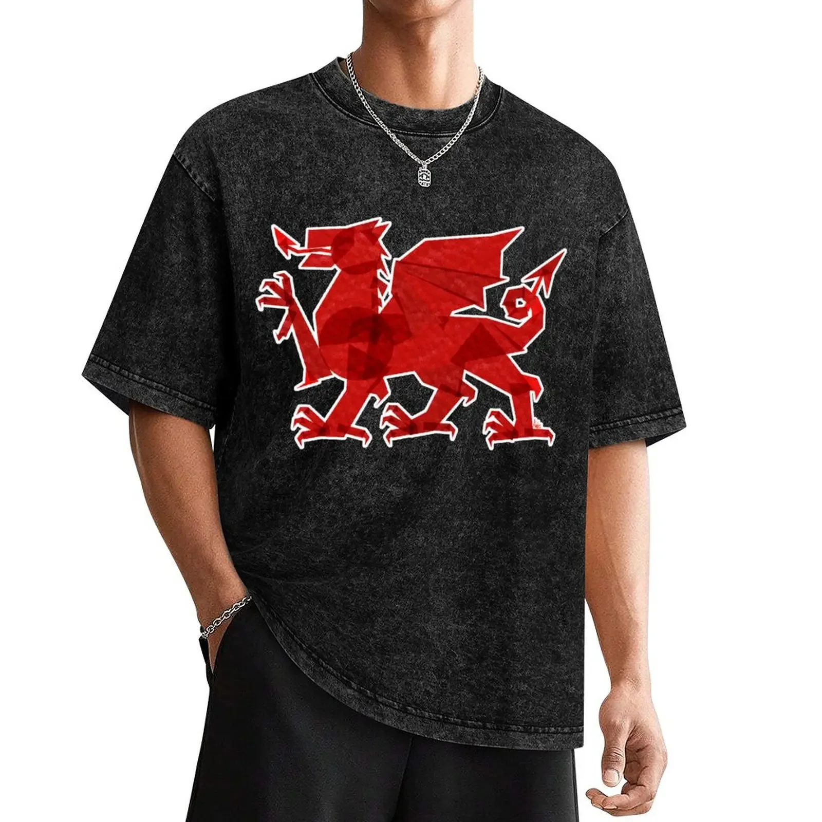 

Wales T-Shirt for a boy anime luxury clothes men