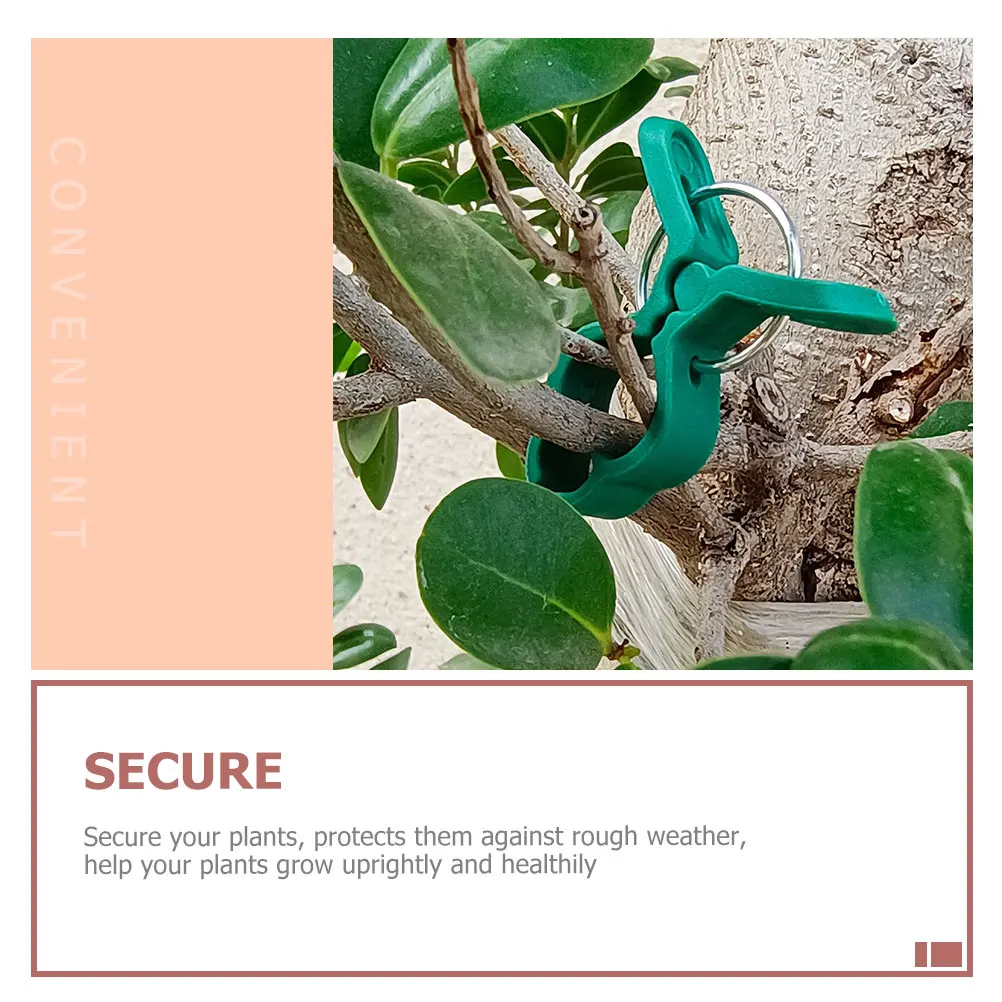 

Tomato Plant Gardening Clip Set Phalaenopsis Clips Tool Green Plastic Flower Support