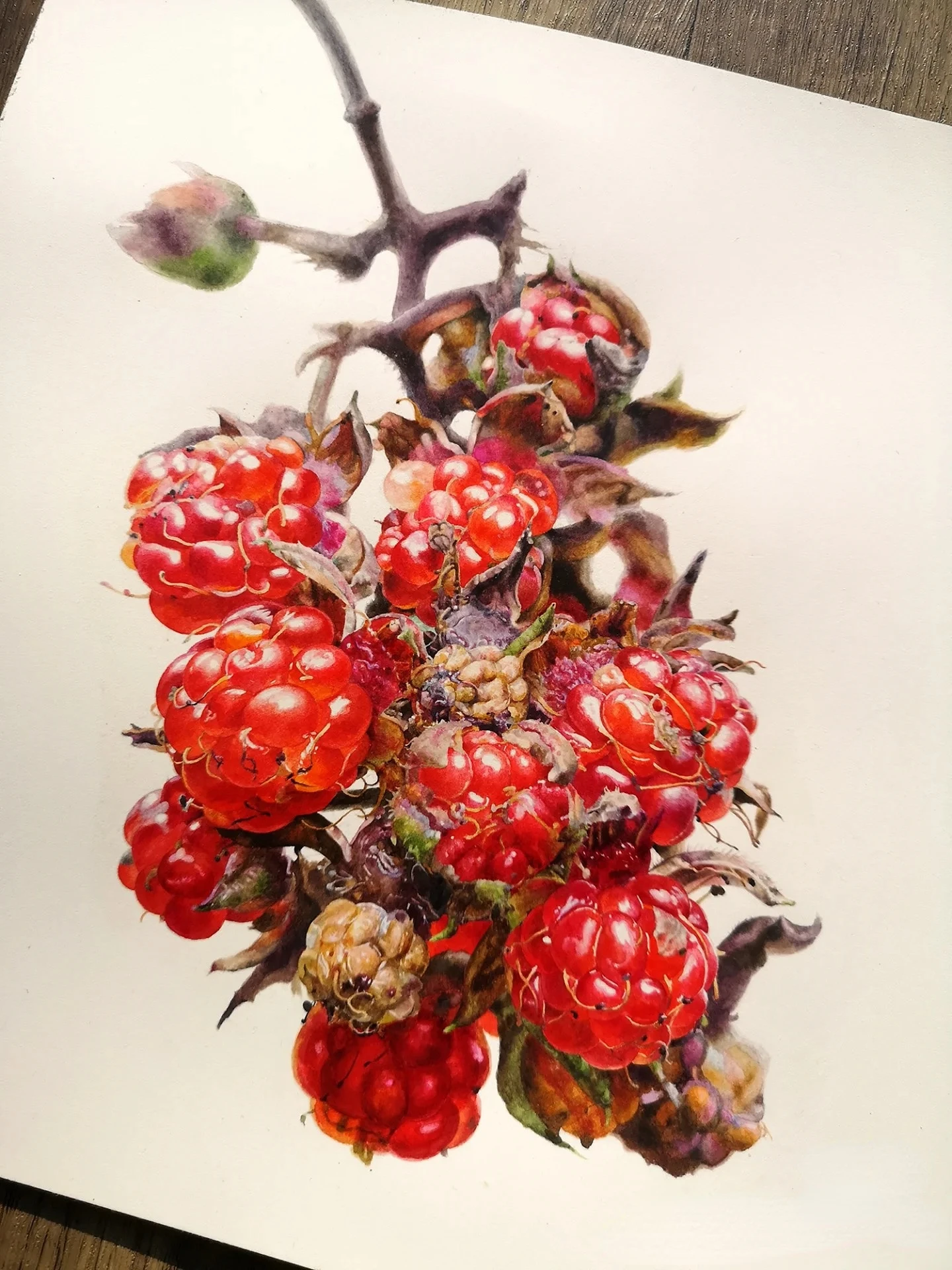 مجموعة الرسم الصيني المصنوع يدويًا مكونة من 12 لونًا - ألوان مائية احترافية بألوان ثابتة، مثالية للرسم والتوضيح