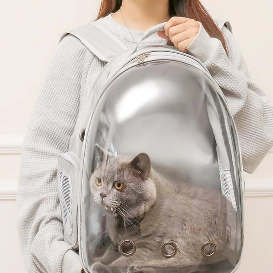 Medical Lab Furniture - Atmungsaktiver Raumkapsel-Katzenrucksack, tragbarer Haustier-Reiserucksack mit großer