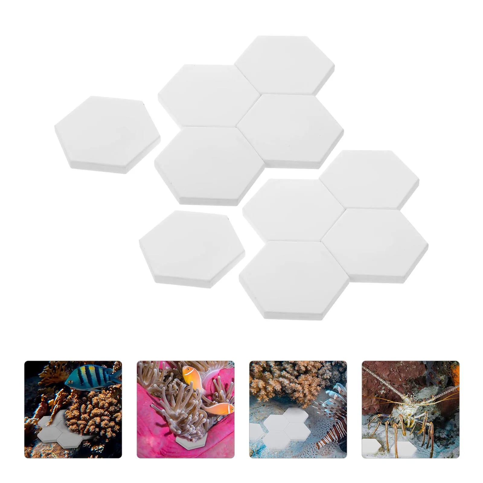 

10Pcs Ceramic Coral Bases Aquarium Accessory High Temperature Firing Safe for Water Quality Coral Status Fish Tank Supplies