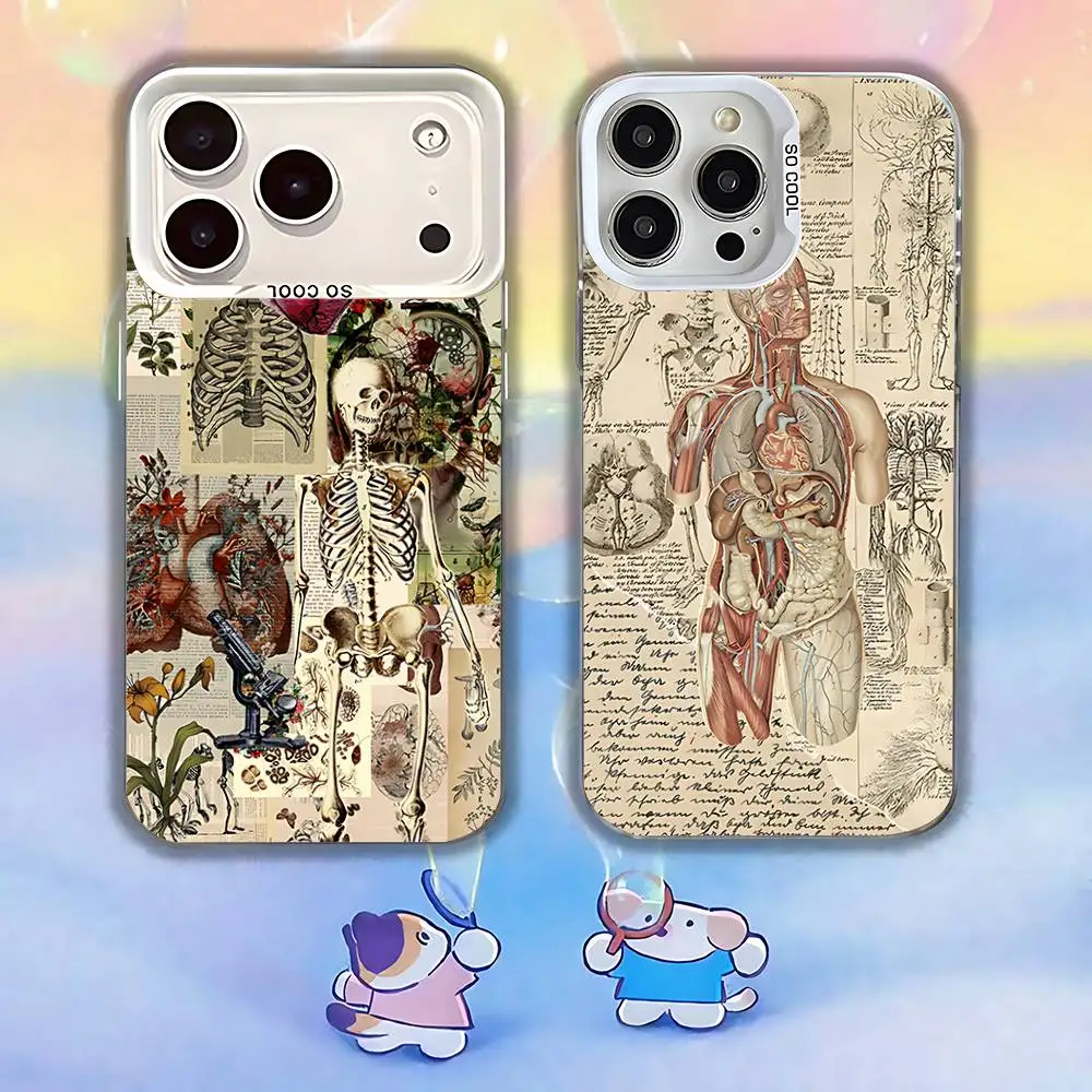 

Medical Art Human Anatomy Phone Case For iPhone 17,16,15,14,13,12,11,Pro,Max,Plus,SE,Air,Mini Anti Fall White Bumper