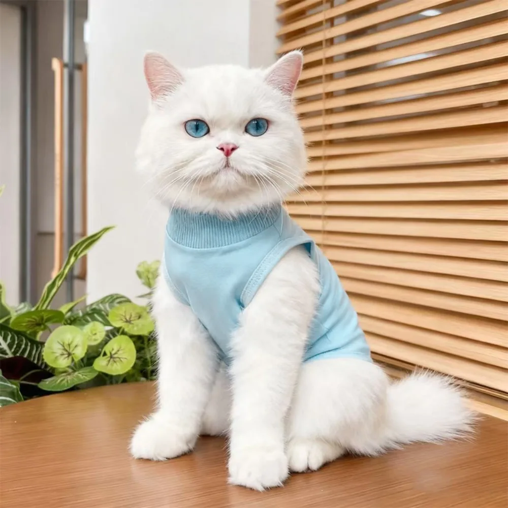 #2 Trending Cat Apparel Right Now