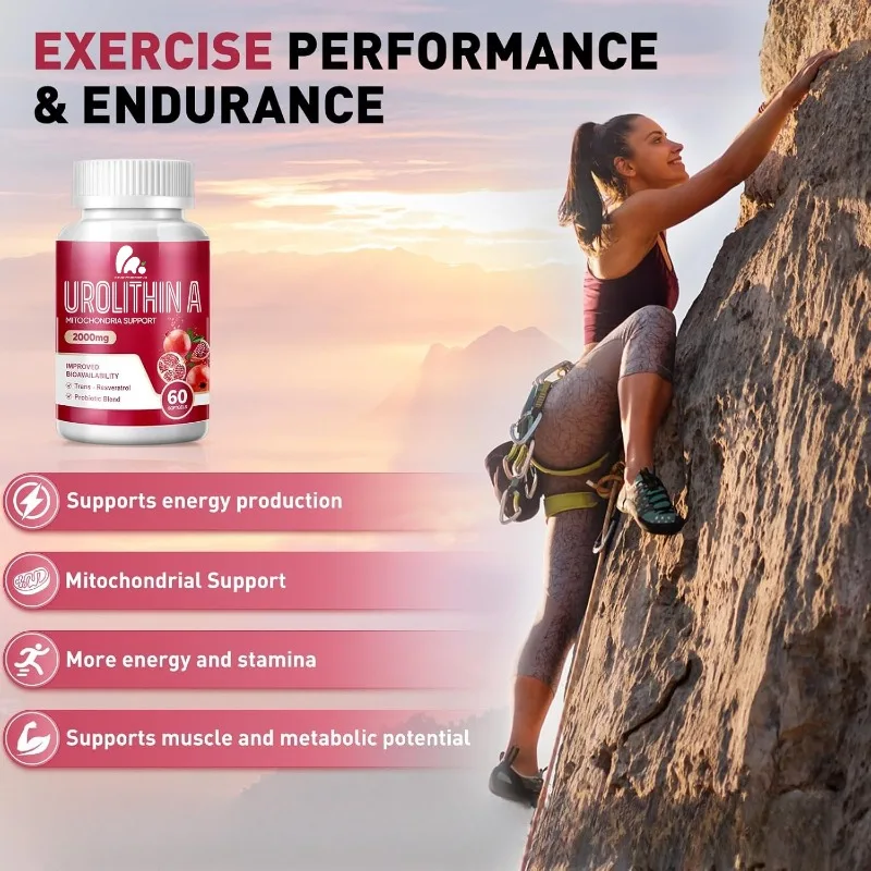 

Urolithin A Supplement, 2,000mg for Healthy Aging, Antioxidants and Mitochondrial Support, 60 Softgels