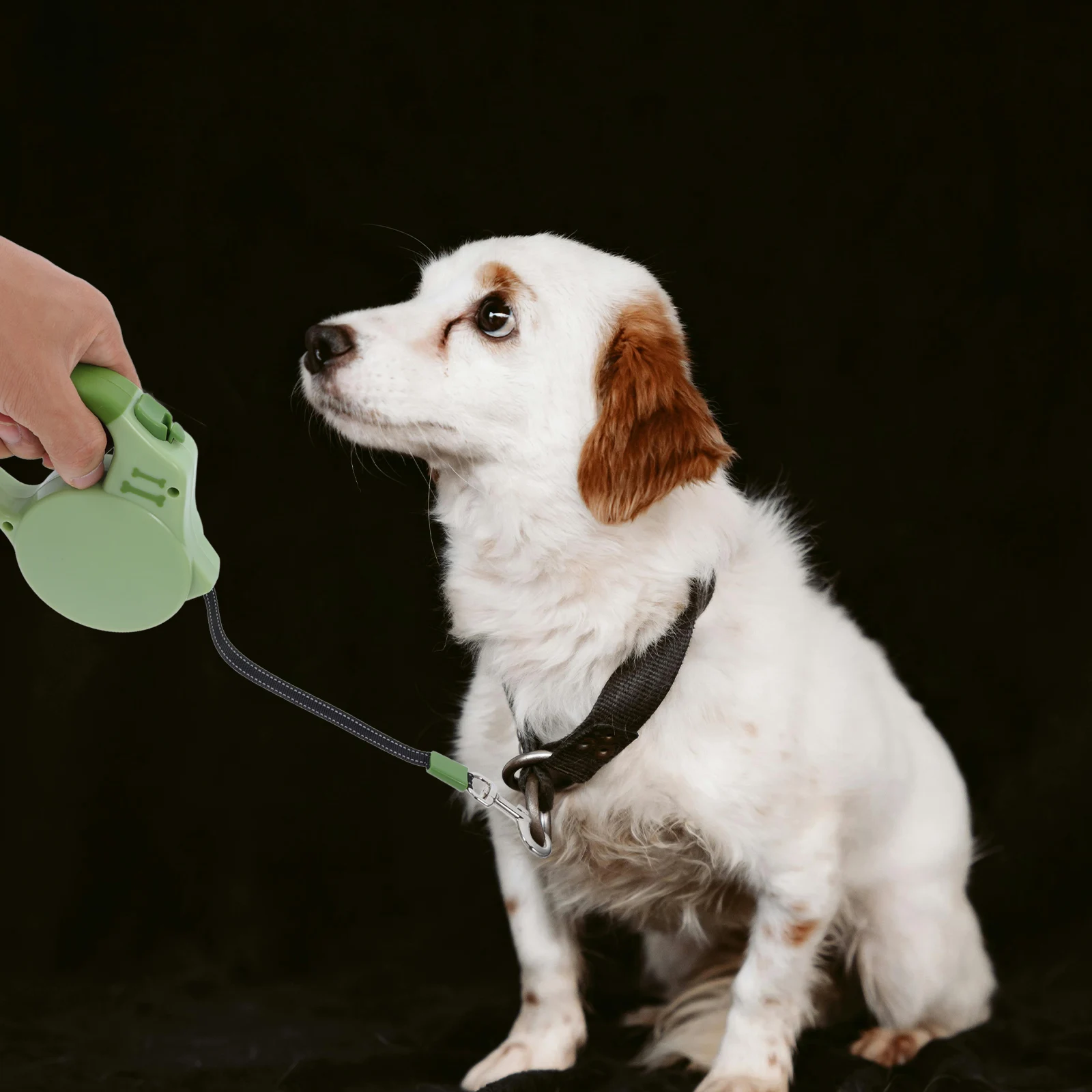 

Automatic Retractable Dog Durable Tape Anti-Slip Handle Heavy Duty For Small Medium Large Dogs Walking Running Training