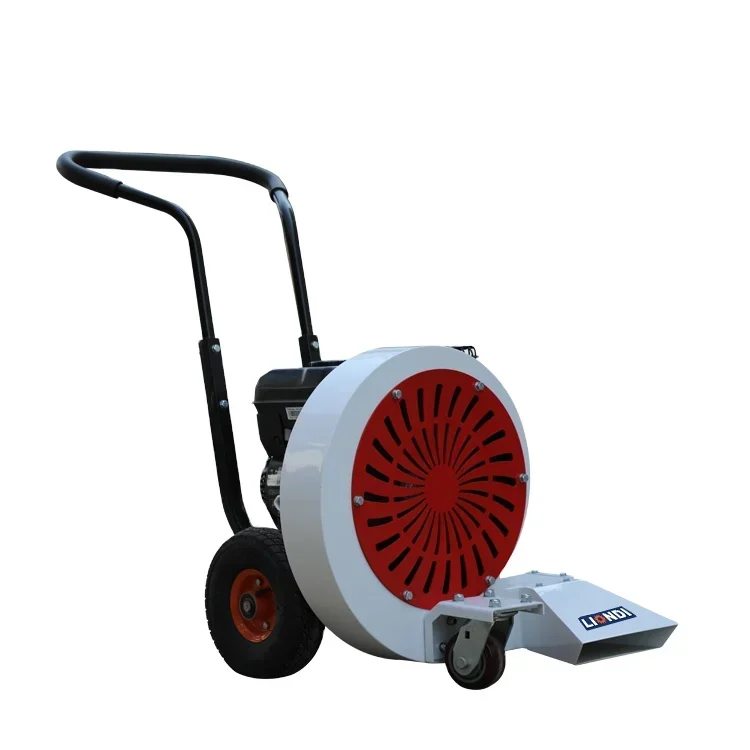 Leaf Cleaning Sweeping Machine Hand Push Road Gasoline Blower RB-450