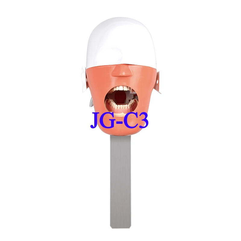 JG-C3 Dental Manikin Simulated Head Model Quick-Assembling Simulator for Dental Chair