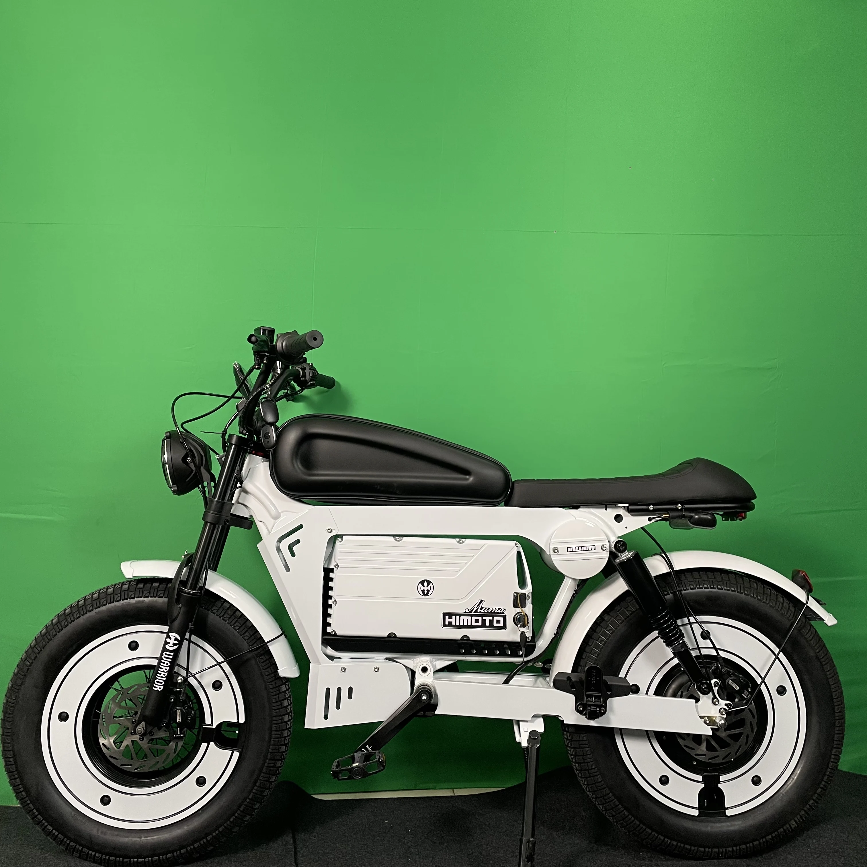 

STLF Fashion 2025 Durable 20" Cafe Racer Adult 1500W Motor Fat Tire Dirt Bike Ebike Electric Bicycle Vintage