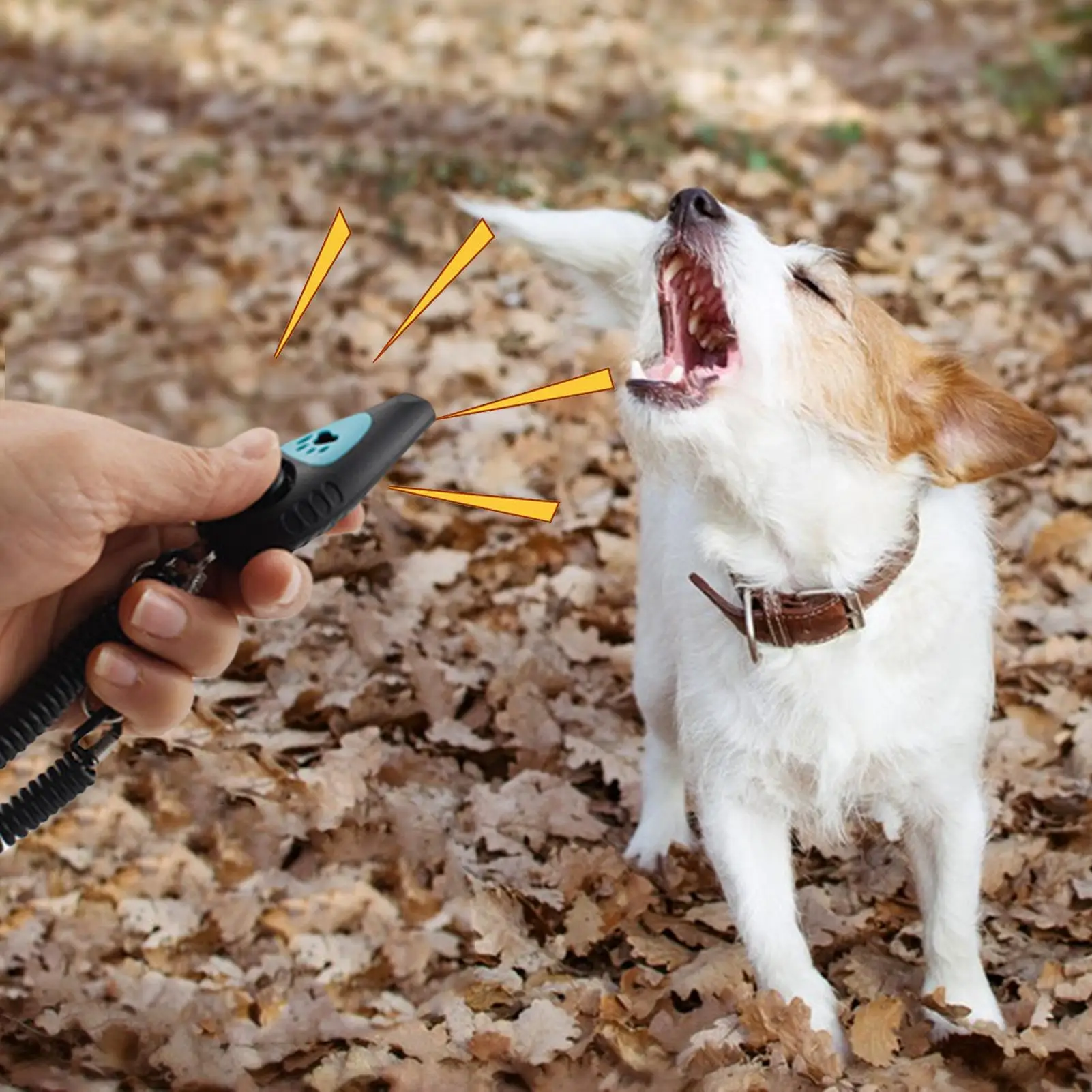 Thumbnail 2 - #22 Best Rated Puppy Clickers to Buy in 2026