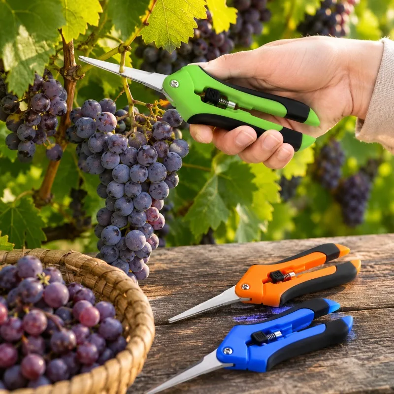 Garden Pruning Shears Non-slip and Labor-saving Flower Branch Shears Fruit and Vegetable Shears Bonsai and Potted Plant Cutting