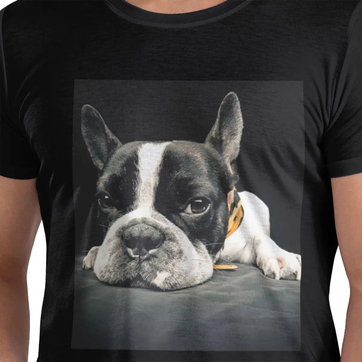 

Black Boston Terrier 100% Cotton T-Shirt Men's Funny T Shirts Men Crew Neck Short Sleeve S-6XL
