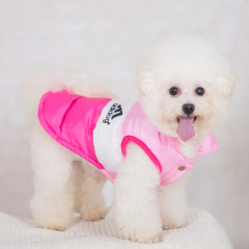 Winter Warm Dog Cotton Jacket Color Block Dog Clothes Designer Fashion Pet Coa For Small Dogs Chihuahua Puppy Costume Windproof