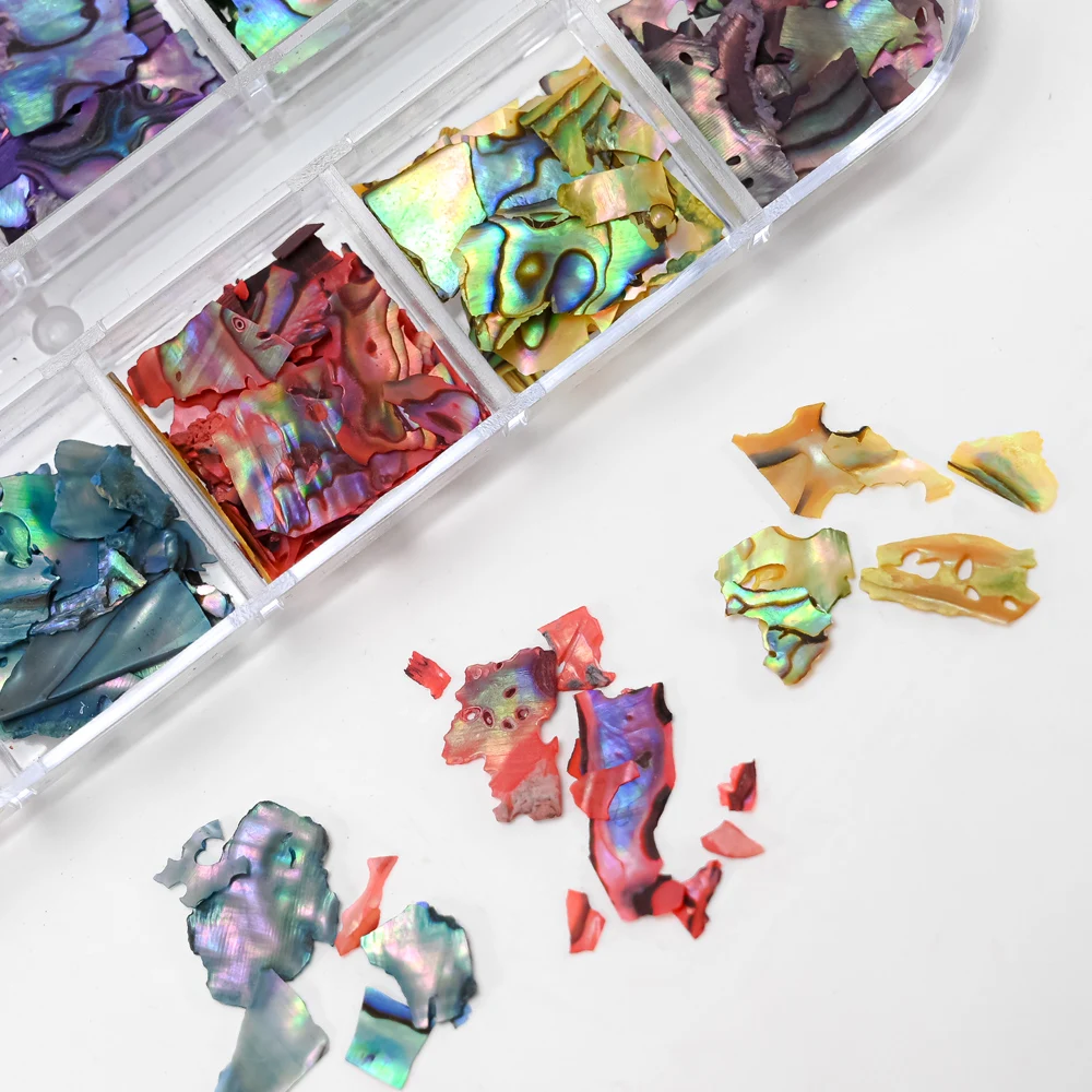 12Grids 3D Irregular Abalone Seashell Fragments Nail Art Flakes Natural Sea Shell Texture Summer DIY Nail Charms Decoration