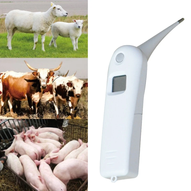 Veterinary Thermometer Fast Digital Pet Thermometer for Pigs Cattle Sheep Dogs Horse Including AAA Battery Hanging Rope