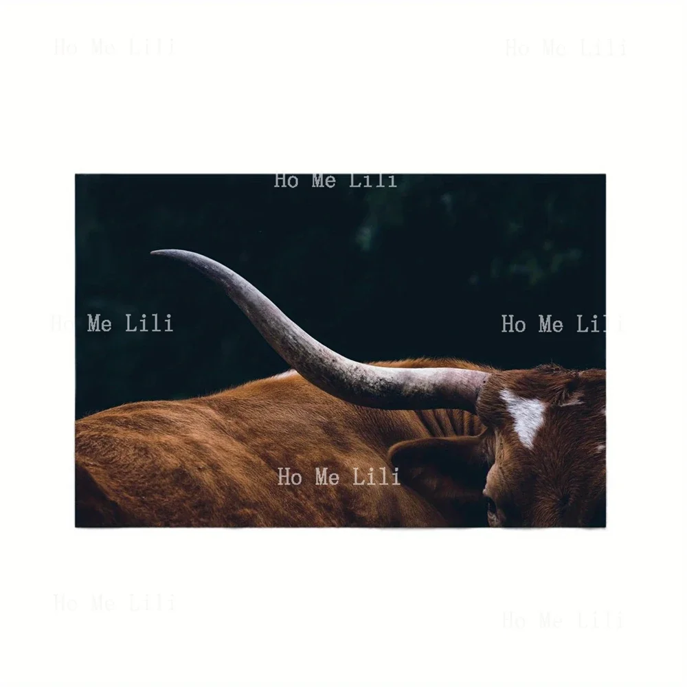 Texas Longhorn Cow Canvas Wall Art Animal Print Home Farmhouse And Wild West Decor