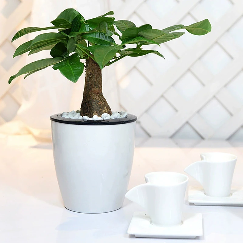 Multi-size Flowerpot Indoor Automatic Suction Flowerpot Windowsill Pot Pot